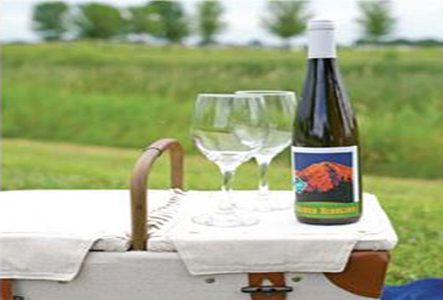 Wine Labeling